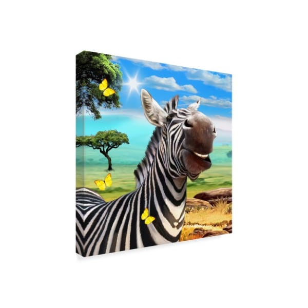 Howard Robinson 'Smiling Zebra' Canvas Art,18x18